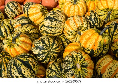 Carnival Winter Squash On Display At The Farmers Market