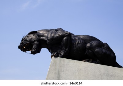 Carolina Panthers