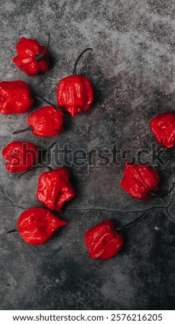 Carolina Reaper chilli on stone background, the world's hottest pepper with dark food photography style
