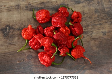 Carolina Reaper  Chilli Papper