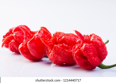 Carolina Reaper Chilli Pepper