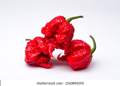 Carolina Reaper Super Hot Peppers In Pile.