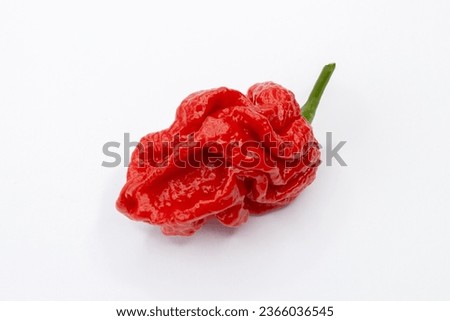 Carolina Reaper, Superhot сhile, hottest pepper, isolated on the white background.