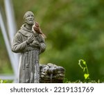 Carolina Wren Perched on Statue of St. Francis of Assisi in Louisiana Garden