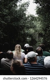 Caroni Swamp, Trinidad And Tobago