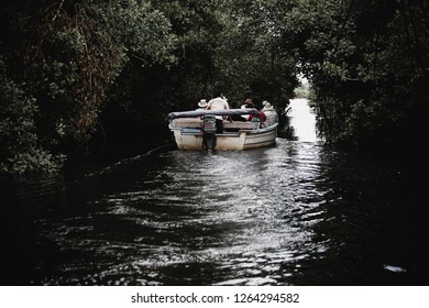 Caroni Swamp, Trinidad And Tobago