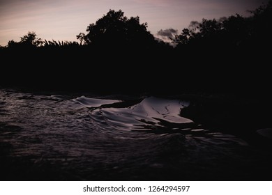 Caroni Swamp, Trinidad And Tobago