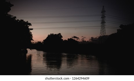 Caroni Swamp, Trinidad And Tobago