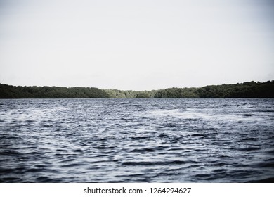 Caroni Swamp, Trinidad And Tobago