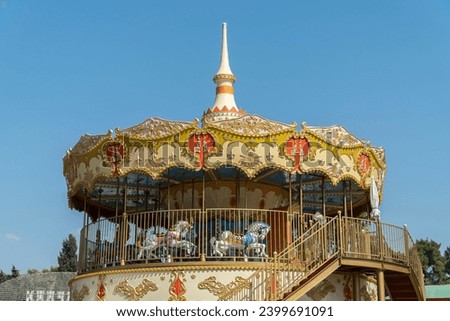 Carousel in the amusement park