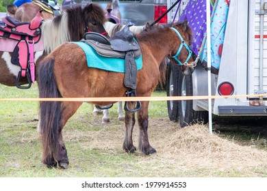 Carousel Horse Resting At A Festival