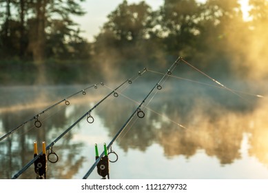 Carp fishing rods misty lake in bulgaria.