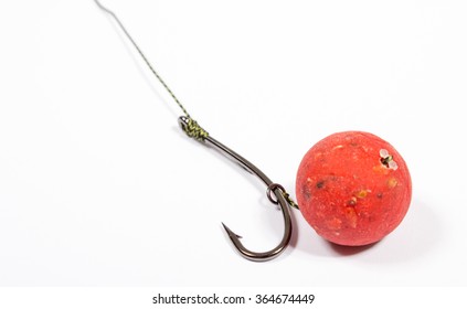 carp fishing bait