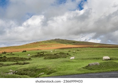 Carpark view of Cox Tor in Dartmoor Devon Southern England - Shutterstock ID 2366999433