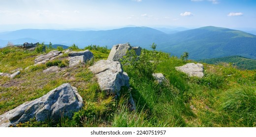 carpathian alpine meadows in evening light. beautiful mountain landscape with stones among the grass, trees on the hills and deep valleys. stunning view in to the distant open vista