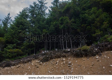 Carpathian landscapes. Forests and mountains of the Carpathians.