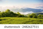 carpathian mountain landscape on a foggy morning. outdoor adventure with stunning view in morning light