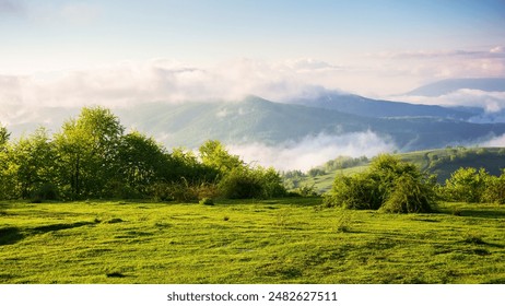 carpathian mountain landscape on a foggy morning. outdoor adventure with stunning view in morning light - Powered by Shutterstock