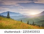 Carpathian mountain range at early morning sunrise. Beautiful nature landcape.