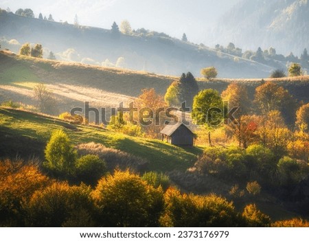 Carpathian mountain valley with beautiful hills in haze, alone small wooden house, orange trees at sunset in autumn in Ukraine. Colorful landscape with meadows, forest, grass, sunlight in fall. Nature