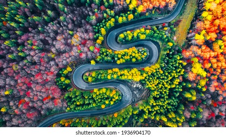 Carpathian Mountains, Romania. Winding road in fall forest scenery, mountain landscape, Cheia - Prahova.