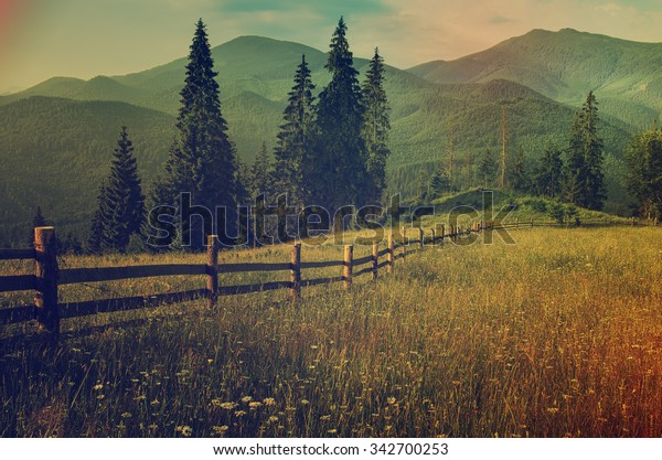 緑の丘と木の柵を持つカルパシアの山の夏の風景 ビンテージヒッスターの驚くべき背景 の写真素材 今すぐ編集