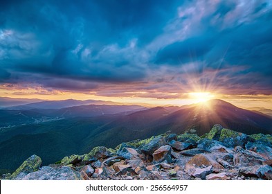 Carpathian mountains summer  sunset landscape with sun  and alpine pines