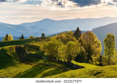 carpathian rural landscape in spring at sunset. trees on the grassy hills rolling in to the distant ridge in evening light. dynamic cloud formations on the sky. beautiful nature background - Powered by Shutterstock