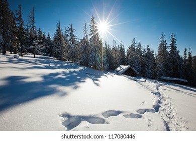 Carpathian Winter Mountains