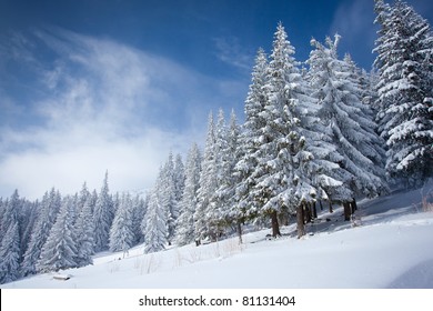 Carpathian Winter Mountains