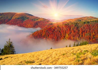 Great Smoky Mountains National Park Panorama Images Stock Photos Vectors Shutterstock