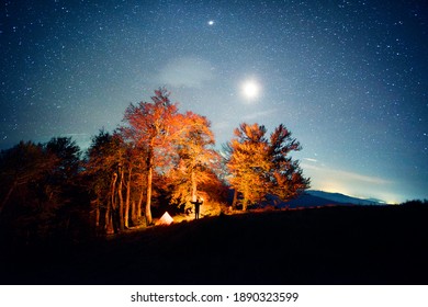 In the Carpathians, on the Borzhava ridge, there is an old beech forest. The high autumn mountains on a starry night are attractive for camping with a tent and bonfire.