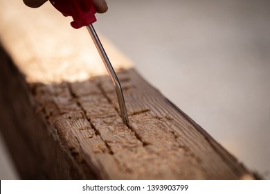 Carpenter Blows Sawdust Out Of Woodworm Marks On Reclaimed Oak Wood Beam