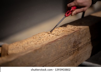 Carpenter Blows Sawdust Out Of Woodworm Marks On Reclaimed Oak Wood Beam