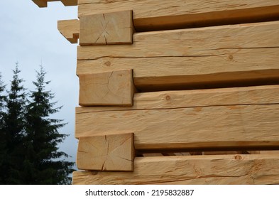 A Carpenter Built A Log Cabin With Rough Hewn Beams. Wood Planing Was Not Done Before. Authentic Craftsmanship Wooden Log Cabin. Mortises For Placing Roof Beams. Gouging Wood, Ax, Cut