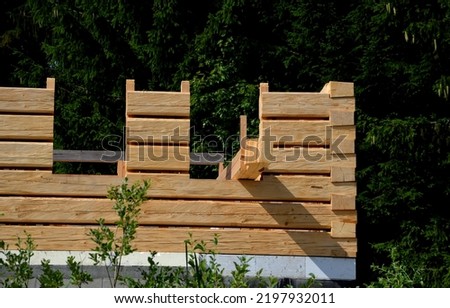 a carpenter built a log cabin with rough hewn beams. wood planing was not done before. authentic craftsmanship wooden log cabin. mortises for placing roof beams. gouging wood, ax, cut, pull strap