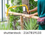 A carpenter is cutting and constructing a large tree crutches. Supporting the young big tree with wooden stick in the garden. It is great method to save the tree against the wind.