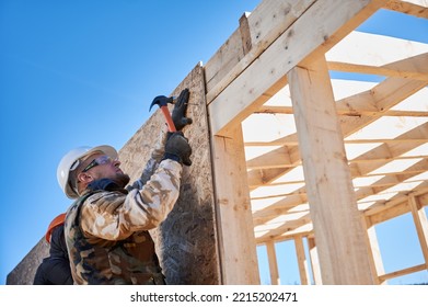 Carpenter Hammering Nail Into OSB Panel On The Wall Of Future Cottage. Man Worker Building Wooden Frame House. Carpentry And Construction Concept.