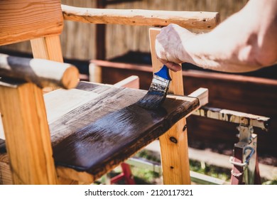 Carpenter Painting Wooden Chair With A Varnish Brush, Renovation