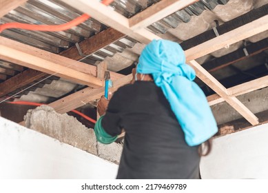 A Carpenter Using A Hammer To Nail A Purlin To A Rafter. Roof Ceiling Construction Or Renovation.