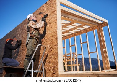 Carpenters Hammering Nail Into OSB Panel On The Wall Of Future Cottage. Men Workers Building Wooden Frame House In The Scandinavian Style Barnhouse. Carpentry And Construction Concept.