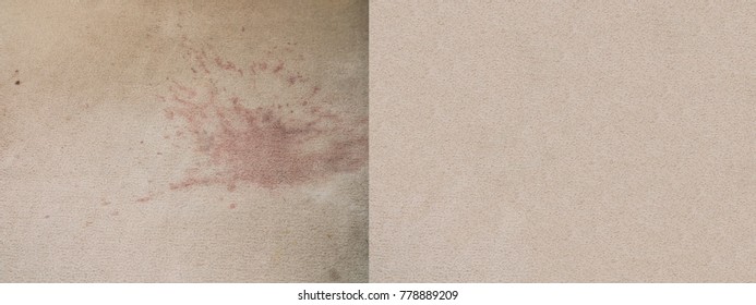 Carpet cleaning before-and-after photos of a dirty wine stain that has been steam shampooed