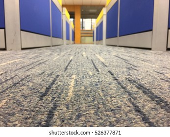 Carpet Floor In A Office, Select Focus On The Floor