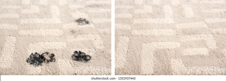 Carpet With Muddy Paw Prints Before And After Cleaning