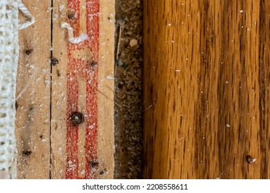 Carpet Tack Strip Exposed During A Flooring Home Improvement Project