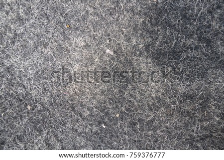 Carpet texture. Carpet covering.
