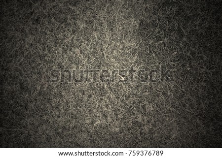 Carpet texture. Carpet covering.