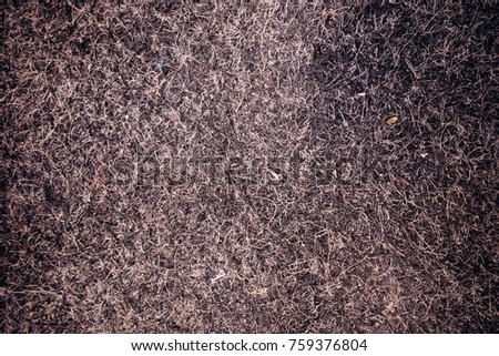 Carpet texture. Carpet covering.