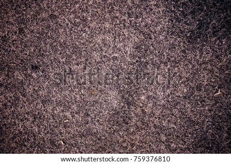 Carpet texture. Carpet covering.