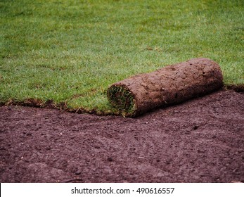 Carpet Of Turf - Roll Of Sod - Turf Grass Roll 